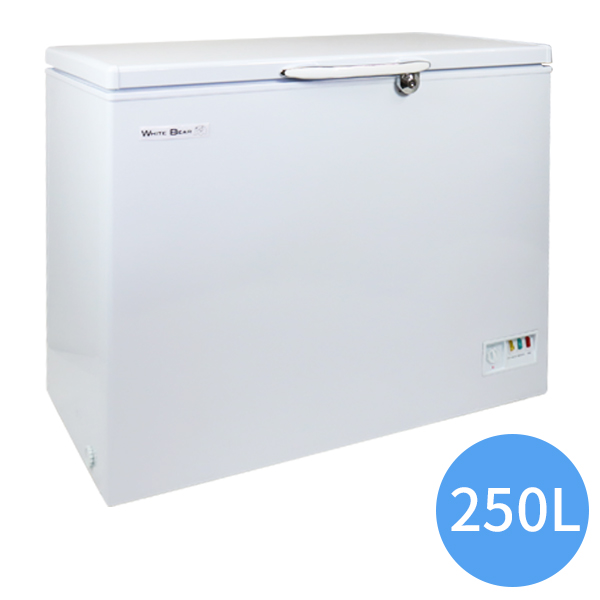 業務用冷凍庫 冷凍ストッカー 冷凍庫 業務用 250L 冷凍ショーケース 